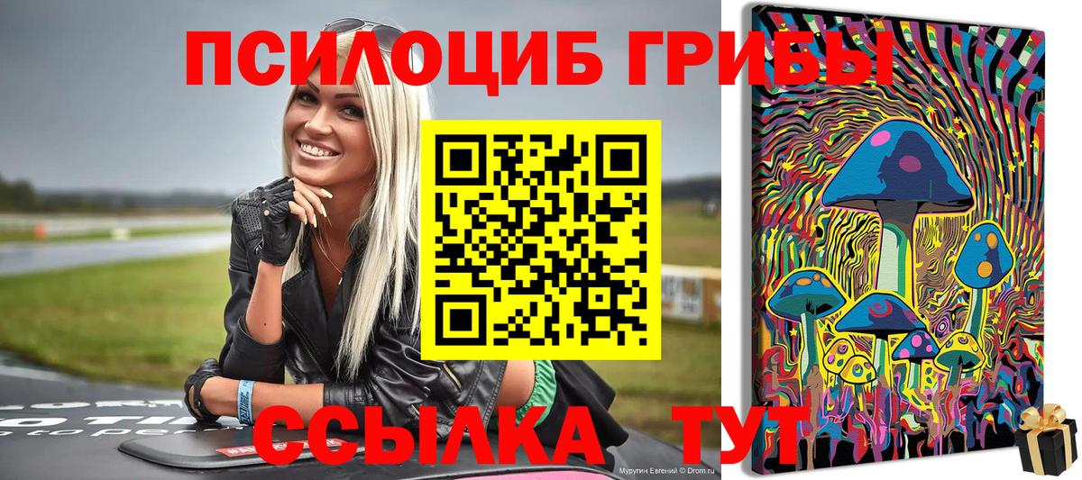 Среднеуральск  продажа наркотиков  Вход с VPN  Галлюциногенные грибы ЛСД  Галлюциногенные грибы ЛСД 